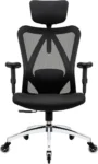 -26% SALE on an Ergonomic Office Chair – $199.00