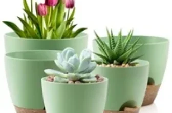 FOUKUS Self-Watering Plastic Plant Pots Set of 5 for $14.99