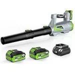 Luckytech 5-Speed Leaf Blower with 2 x 4.0Ah Batteries for $71.99