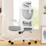 Marsail Ergonomic Office Chair Now $59.99, Originally $149.99