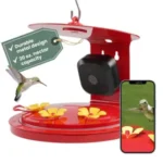 Perky-Pet Smart Hummingbird Feeder with 1080p Camera for $37