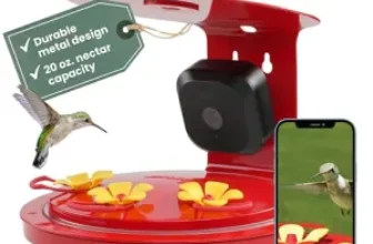 Perky-Pet Smart Hummingbird Feeder with 1080p Camera for $37
