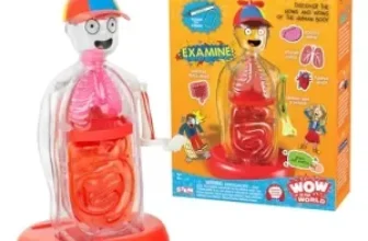 Thames & Kosmos Wow in The World The Amazing Human Body Kit for $11