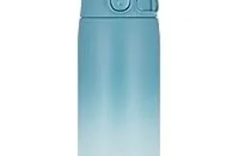 Zojirushi GoCafe 16oz Insulated Stainless Steel Mug for $21.99