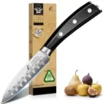 CoquusAid 3.75″ German Stainless Steel Paring Knife – $9.99