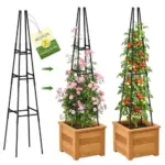 63″ Garden Obelisk Trellis for $9.99