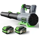 Qiyorl 21V Cordless Leaf Blower Kit w/ 2x 5.0Ah Batteries & Charger – $63.99 ($127.99 Original)