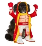 Rocky Balboa Pet Costume (Large) for Dogs/Cats – $11