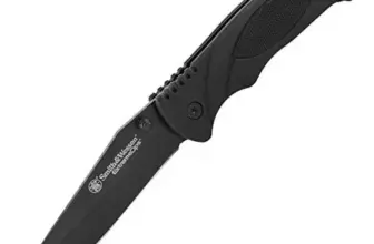 Smith & Wesson Extreme Ops SWA25 Folding Knife for $10.39