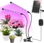 Solar-Powered 2-Head Grow Lamp with Battery – Now $19.99