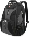 Swissgear 1900 Scansmart 31L Laptop Backpack (Black/Grey) – $54