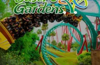 Free Admission for U.S. Military Members and Veterans at Busch Gardens and SeaWorld $0.00