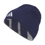 Adidas Men’s Reversible Skully Beanie for $6.55