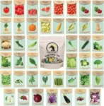 43-Pack Black Duck Brand Heirloom Vegetable & Herb Seeds for $9.99