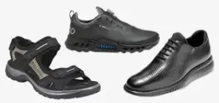 Up to 64% Off Cole Haan, ECCO, and Veja Shoes with Free Shipping