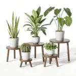 5-Pack Delma Indoor Wood Plant Stands for $25 with Free Shipping