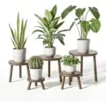 Delma Wood Plant Stands (Dark Brown, 5-Pack) for $24.99