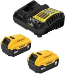 DEWALT DCB205-2C 20V MAX Lithium-Ion Battery 2-Pack for $119