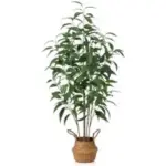 DR.Planzen 4ft Artificial Multi-Trunk Eucalyptus Tree for $36.29
