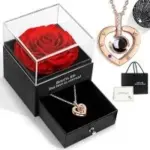 Hegud Preserved Real Rose with I Love You Necklace for $14.99