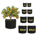 Hoikwo Black Grow Bags 8-Pack for $12.49 – Includes 3, 5, 7, and 10 Gallon Sizes