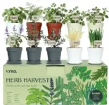 Indoor Herb Garden Kit – 33 Pieces for $19.99