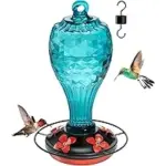 Jarkyfine 20oz Glass Hummingbird Feeder for $11.99