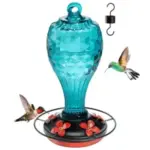 20oz Jarkyfine Hanging Glass Hummingbird Feeder for $12