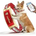 JDXSZ 22-in Wireless Electric GPS Dog Collar Fence for $161.40