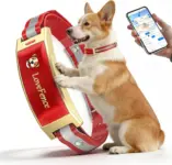 Jdxsz Wireless Electric GPS Dog Collar Fence (Red) for $161.40
