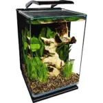Marineland Portrait Glass LED Aquarium Kit – 5 Gallons for $59.59