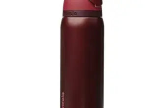 Owala FreeSip 32-Oz Insulated Stainless Steel Water Bottle – $27.99
