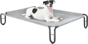 Pettycare Medium Elevated Outdoor Dog Bed for $16