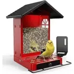 RichBird All-Metal Bird Feeder Now $19.99, Wall & Pole Mountable