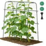 Suteck 63″ x 63″ Cucumber Trellis for Raised Beds Now $30