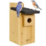 Cedar Blue Bird Box House for $12.59
