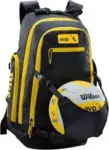 Wilson AVP Beach Volleyball Backpack for $52 with Free Shipping