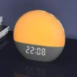 Winshine Sunrise Alarm Radio Clock with White Noise for $22.99