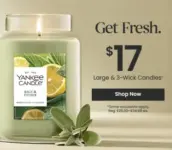 Yankee Candle Original Jar Candles Now $17 with Free Shipping $17.00