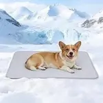 ZAKAPAWS Premium Cooling Blanket 30×40 inches for $9.99
