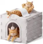 Apasiri Cat Bed Cave for Indoor Cats – Now $11.49