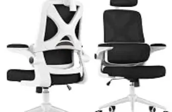 Apusen Ergonomic Office Chair with Adjustable Headrest and Armrests for $74.99