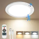 Bairth 400-Lumen Waterproof Motion Sensor Ceiling Light for $16.99
