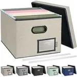 Baleine File Organizer Box with Lid for $16.09
