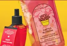 Bath & Body Works Hand Soap and Wallflowers for $2.99 Each