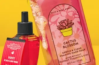 Bath & Body Works Hand Soap and Wallflowers for $2.99 Each