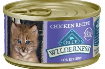24-Pack Blue Buffalo Wilderness Wet Cat Food (3oz Cans) for $15