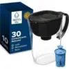 Brita Elite Large 10-Cup Water Filter Pitcher for $28.99