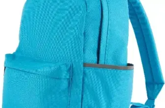 Carhartt Classic Laptop Backpack 21L in Atomic Blue for $13.57