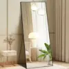CONCETTA 56″ x 15″ Arched Full Length Mirror for $26